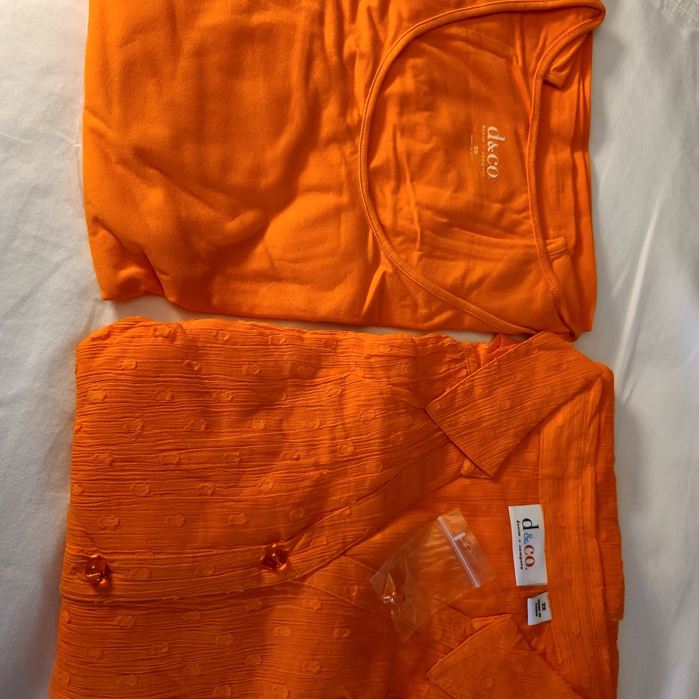 Orange D&Co Blouse and Tank Set